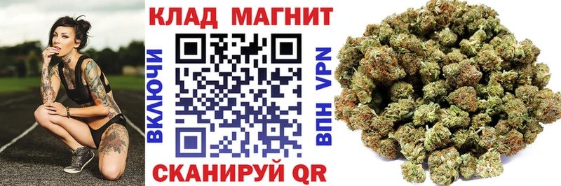 COCAIN Куровское