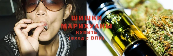 дурь Пересвет