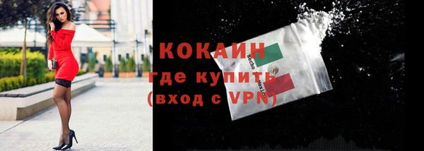 дурь Пересвет