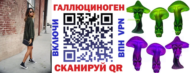 закладка  Куровское  Галлюциногенные грибы Cubensis 