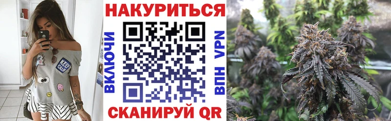 omg маркетплейс  Куровское  Канабис гибрид 